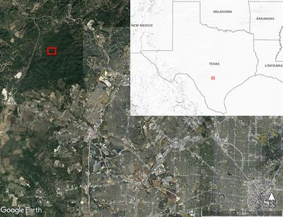 Host Bloodmeal Identification in Cave-Dwelling Ornithodoros turicata Dugès (Ixodida: Argasidae), Texas, USA